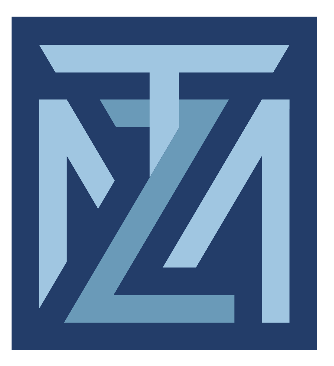 MTZ Consultores & Abogados